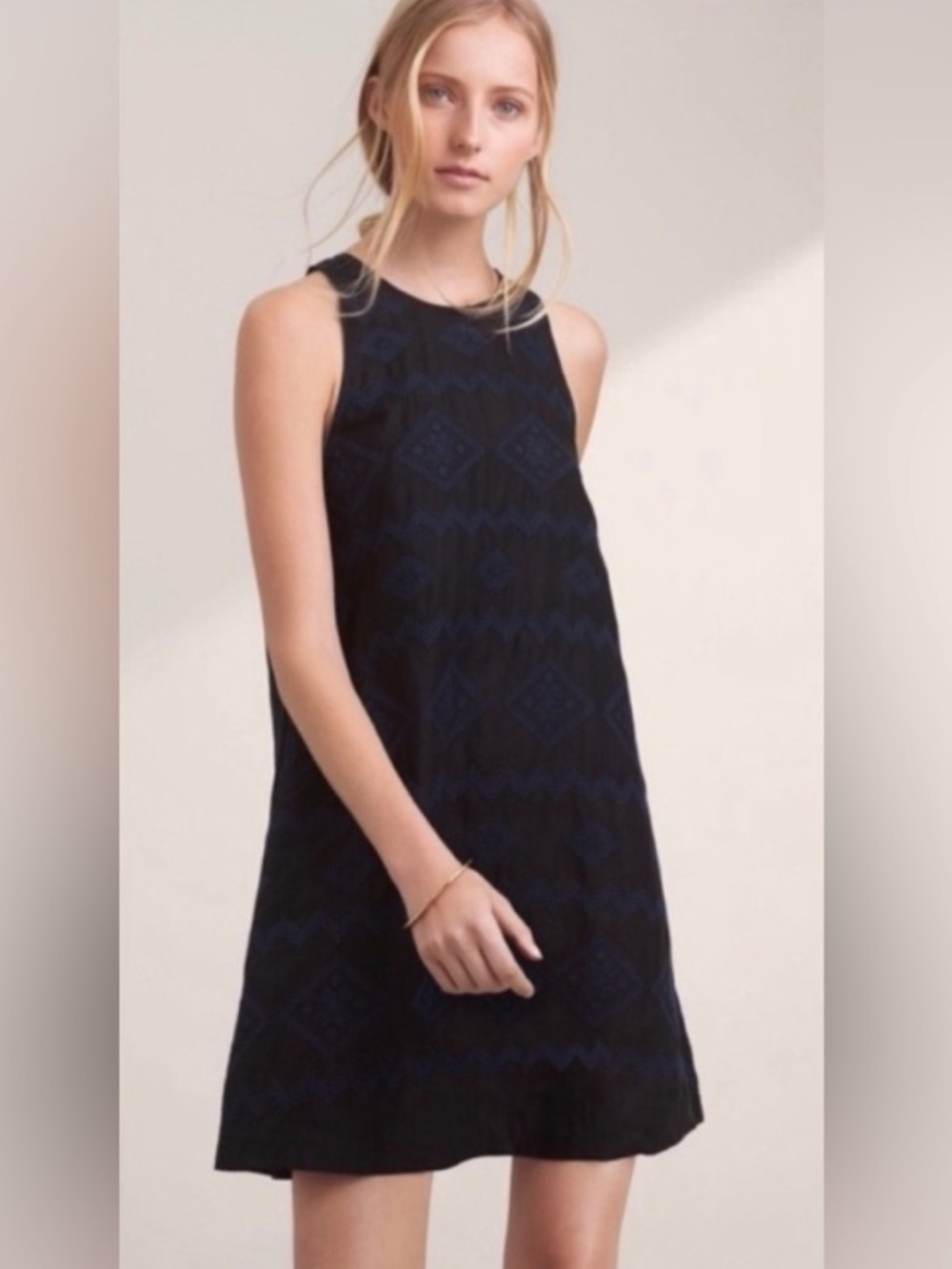 Aritzia Wilfred Embroidered Linen A-Line Dress